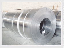 高品质不锈钢建材首選——新日泰鋼材打造建築的永恆質感